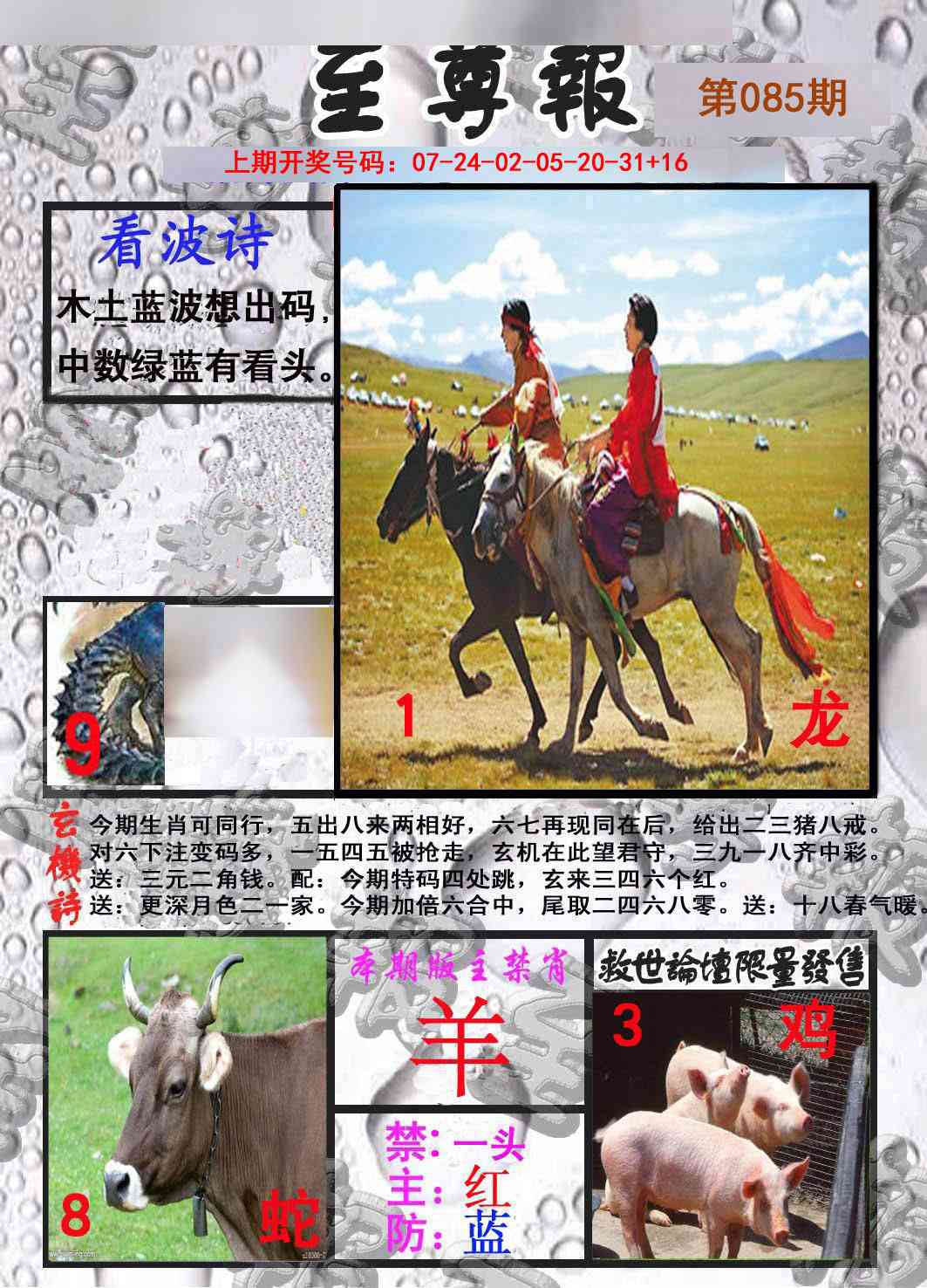 085期至尊报[图]